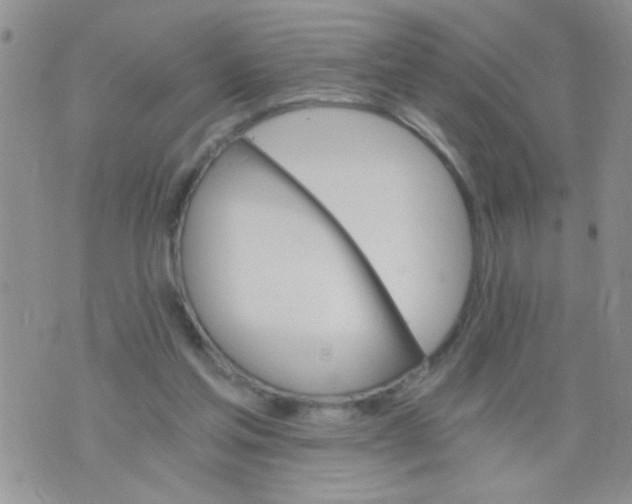 X0000073750205200608311943