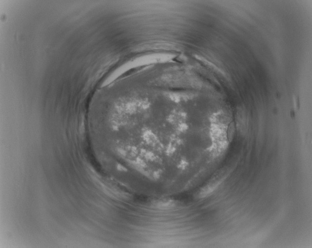 X0000073750206200608311943