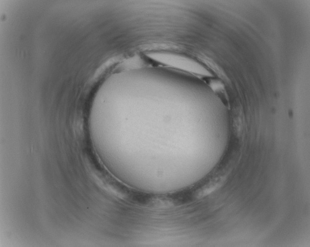 X0000073750207200608311943