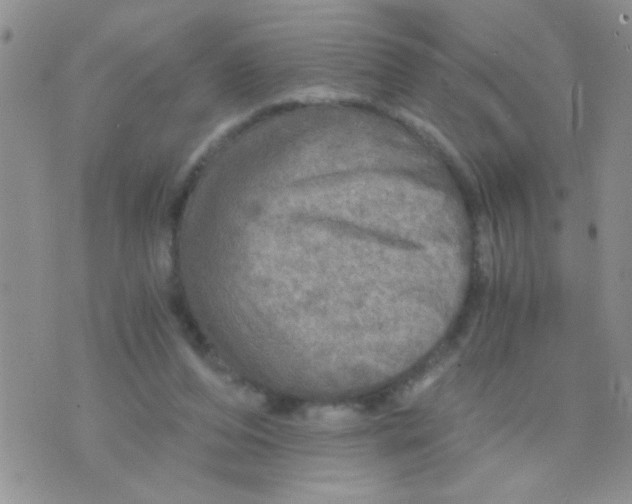 X0000073750208200608311943