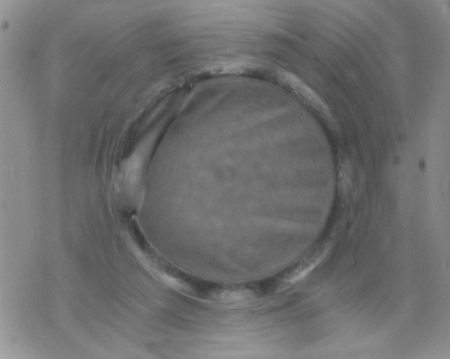 X0000073750209200608311943