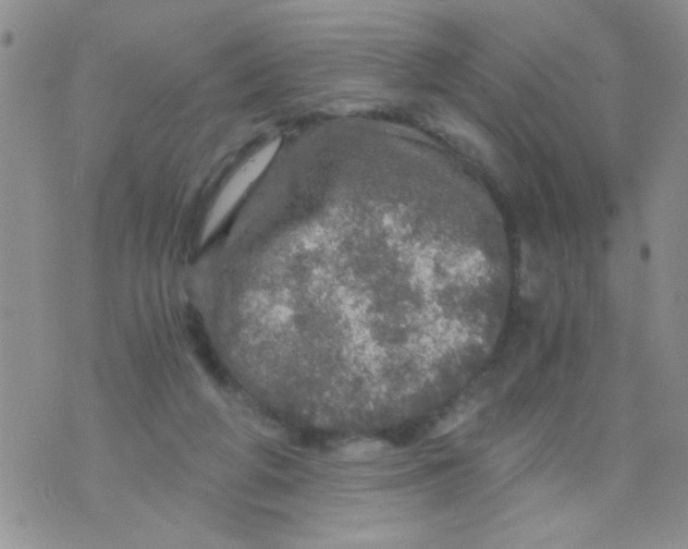 X0000073750210200608311943