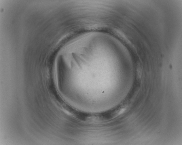 X0000073750211200608311943