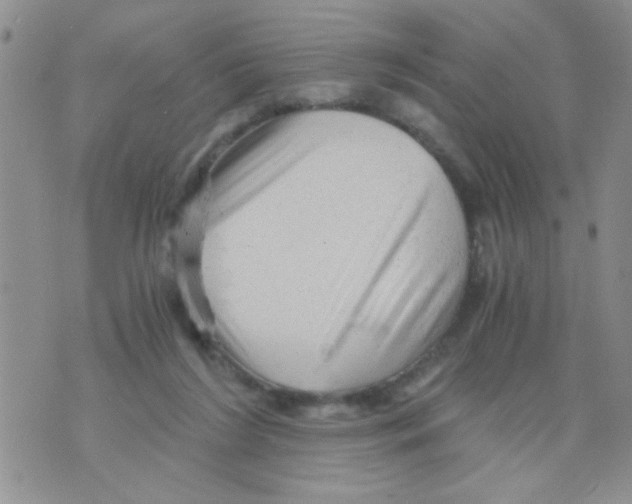 X0000073750212200608311943