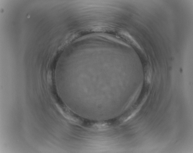 X0000073750213200608311943