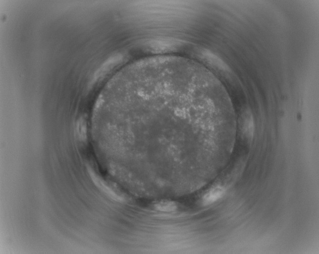 X0000073750214200608311943