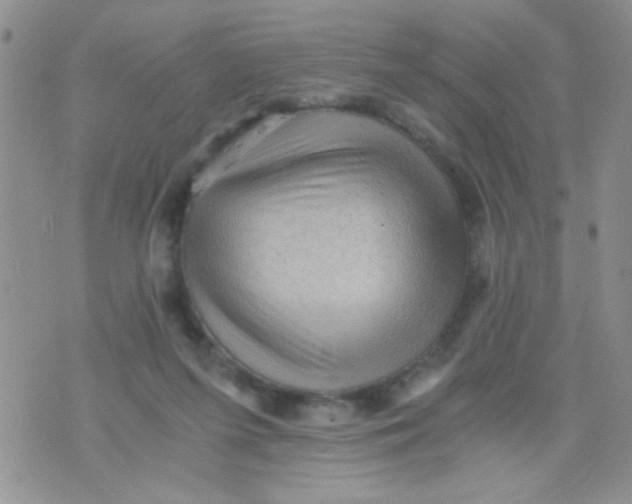 X0000073750215200608311943