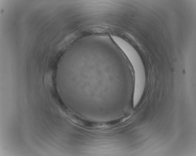 X0000073750217200608311943