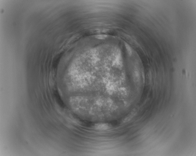 X0000073750218200608311943