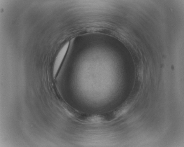 X0000073750219200608311943