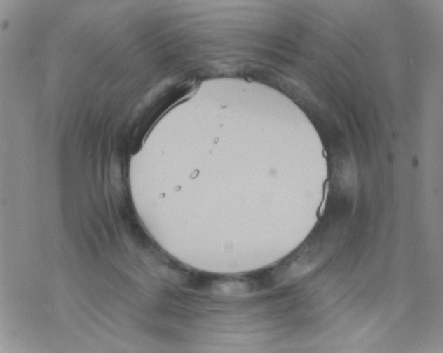 X0000073750220200608311943