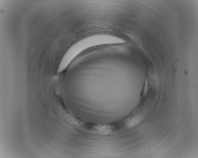 X0000073750221200608311943