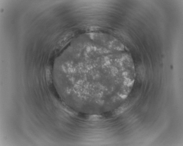 X0000073750222200608311943