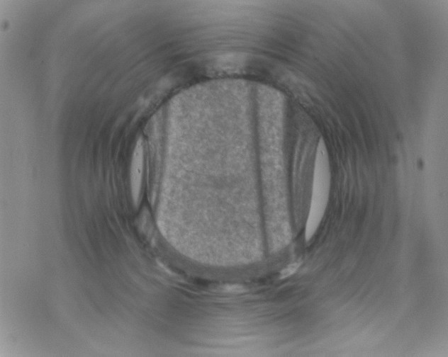 X0000073750224200608311943