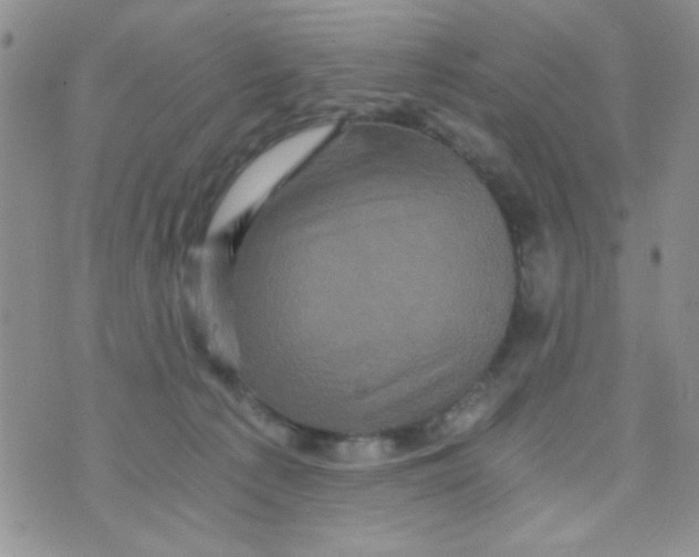 X0000073750225200608311943