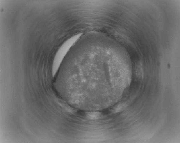 X0000073750226200608311943