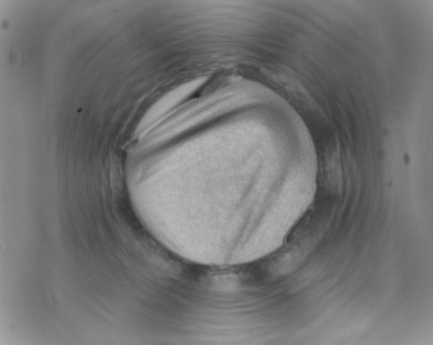 X0000073750228200608311943