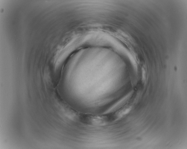 X0000073750229200608311943