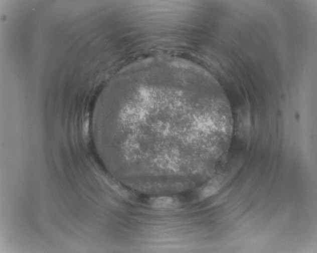 X0000073750230200608311943