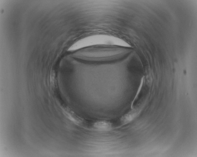 X0000073750231200608311943