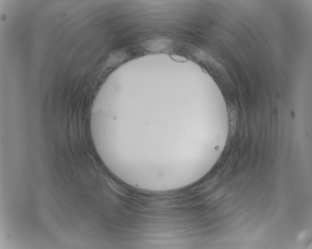 X0000073750234200608311943