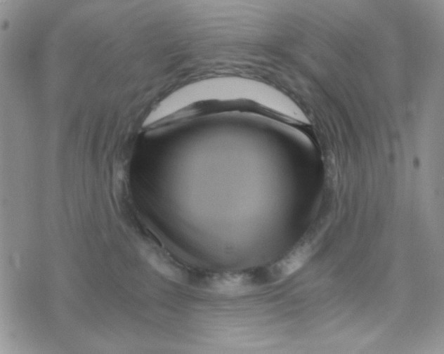 X0000073750235200608311943