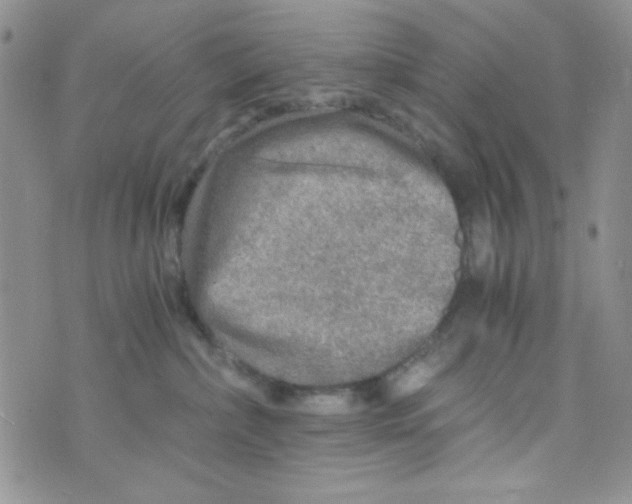 X0000073750236200608311943