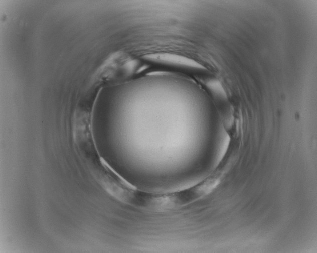 X0000073750237200608311943