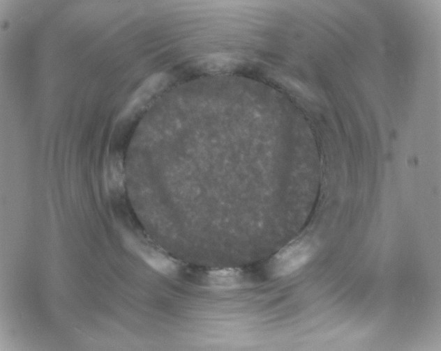 X0000073750240200608311943