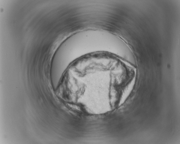 X0000073750241200608311942