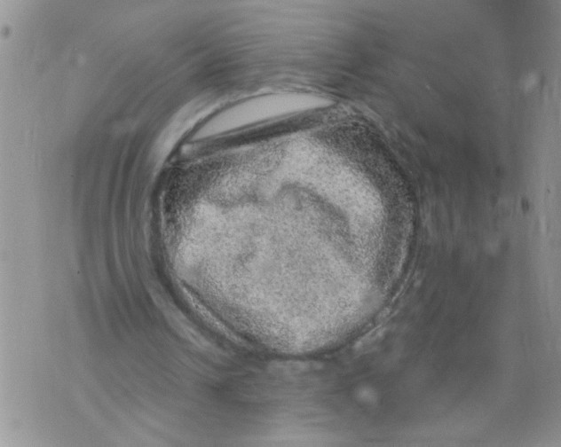 X0000073750242200608311942