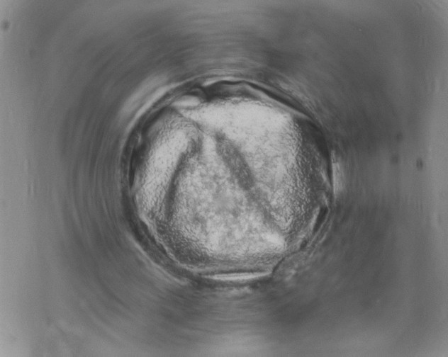 X0000073750243200608311942