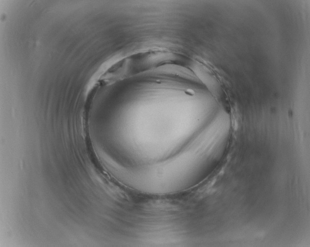 X0000073750244200608311942