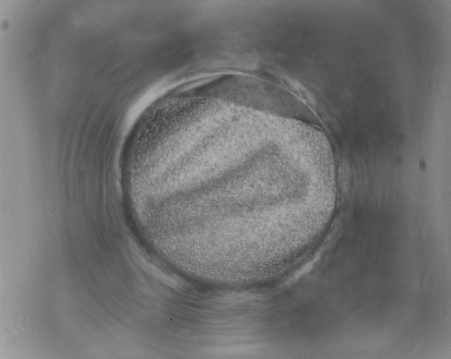 X0000073750246200608311942