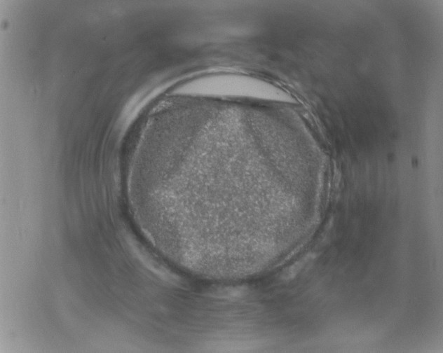 X0000073750247200608311942