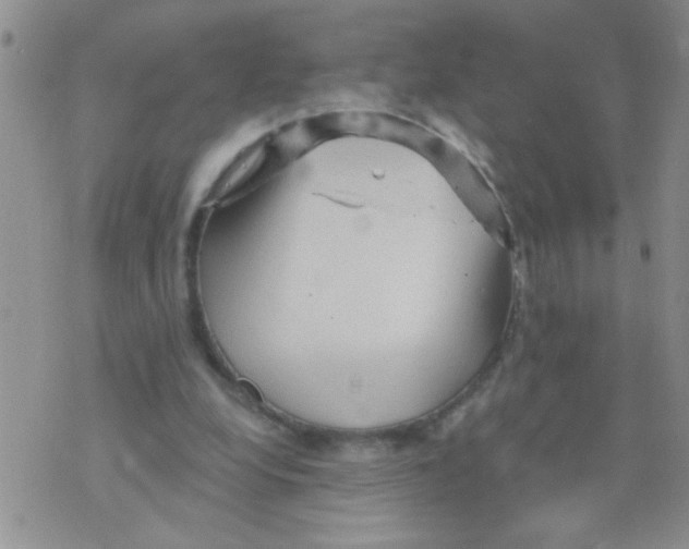 X0000073750248200608311942