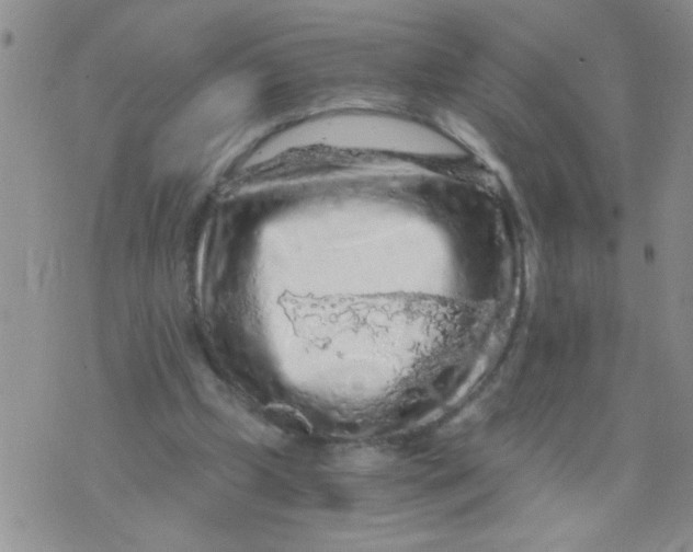 X0000073750249200608311942