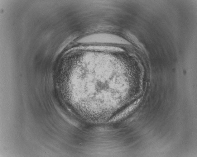 X0000073750250200608311942