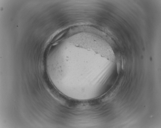 X0000073750252200608311942