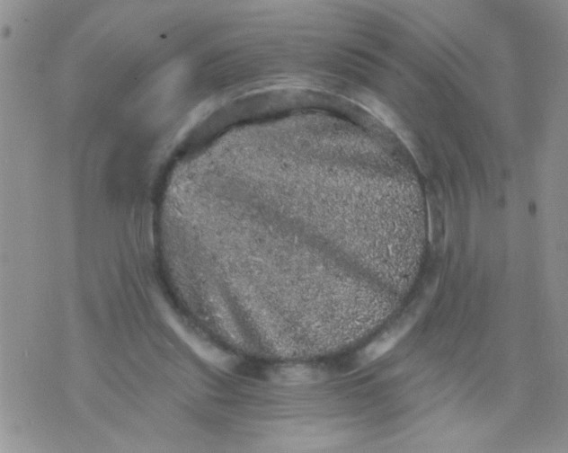 X0000073750253200608311942