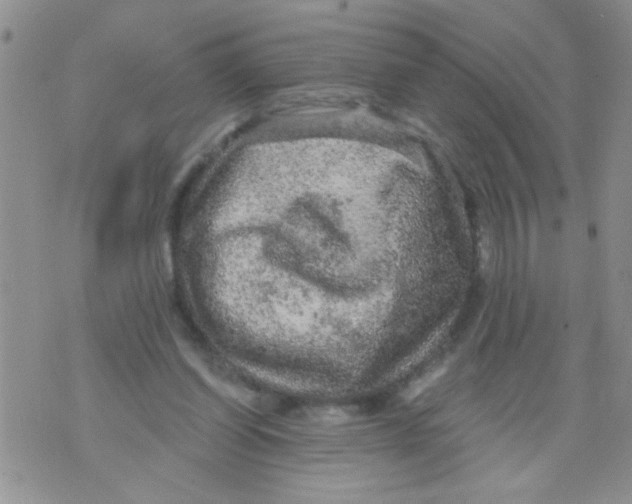 X0000073750254200608311942