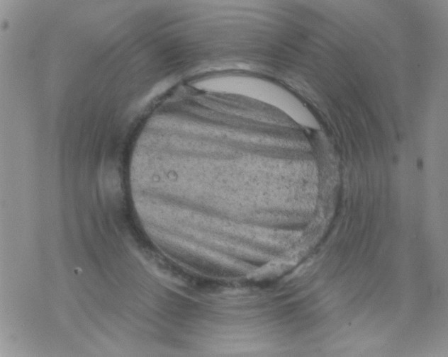 X0000073750256200608311942