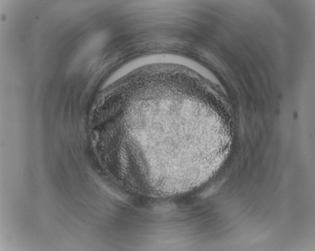 X0000073750258200608311942