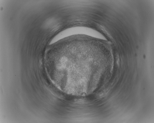 X0000073750259200608311942