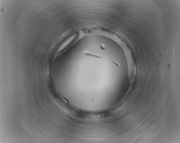 X0000073750260200608311942