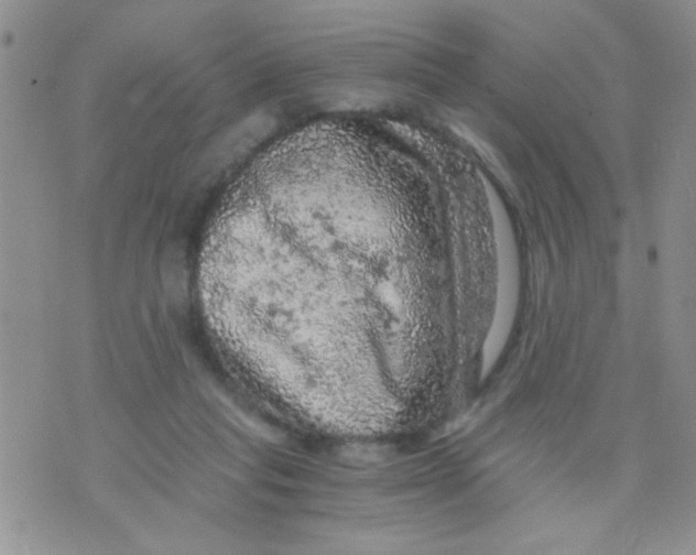 X0000073750261200608311942