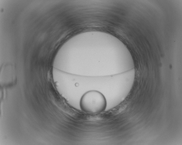 X0000073750262200608311942