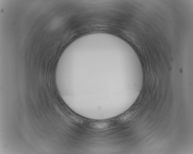 X0000073750263200608311942