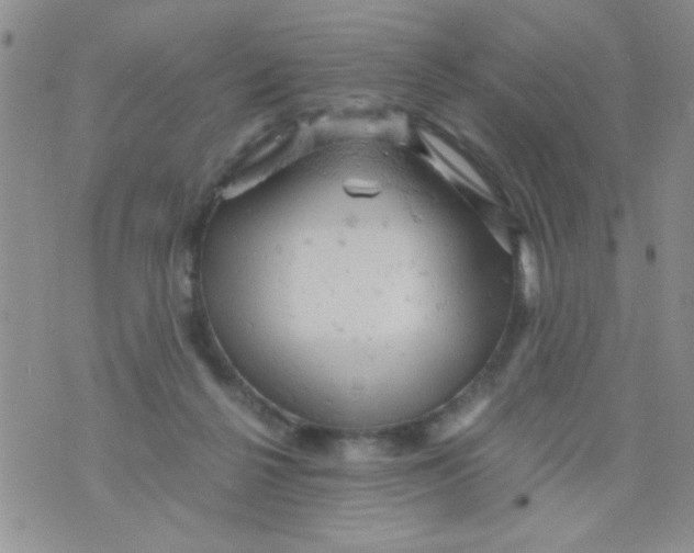 X0000073750264200608311942