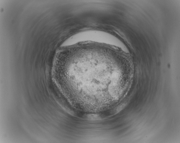 X0000073750265200608311942